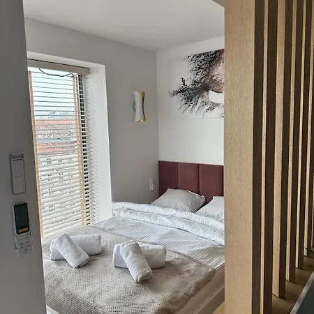 Theone - Apartament Ksiecia Witolda 公寓